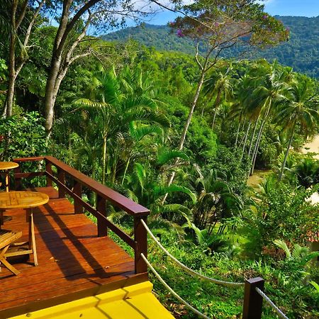 Atlantica Jungle Lodge إلها غراندي المظهر الخارجي الصورة