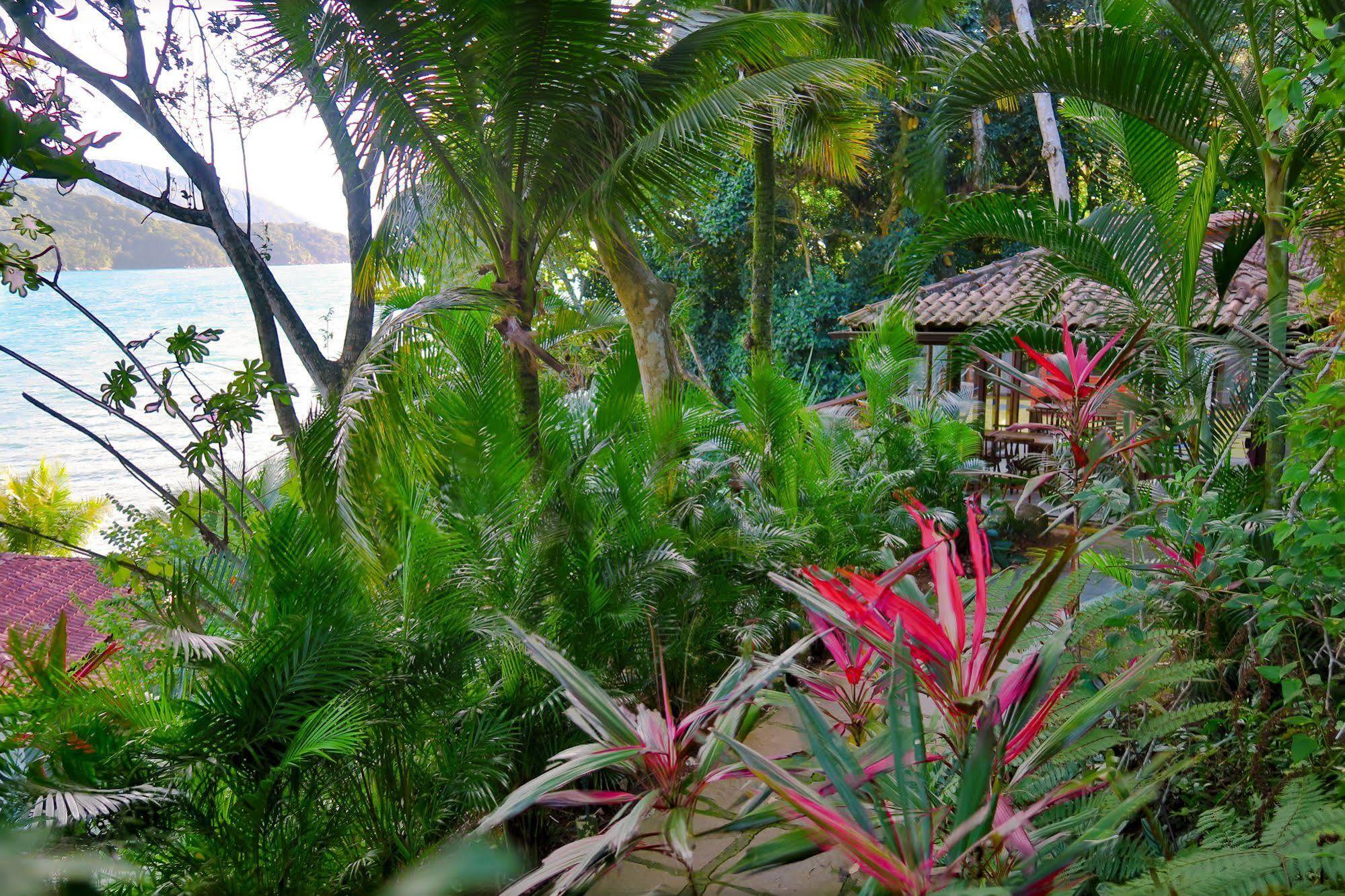 Atlantica Jungle Lodge إلها غراندي المظهر الخارجي الصورة